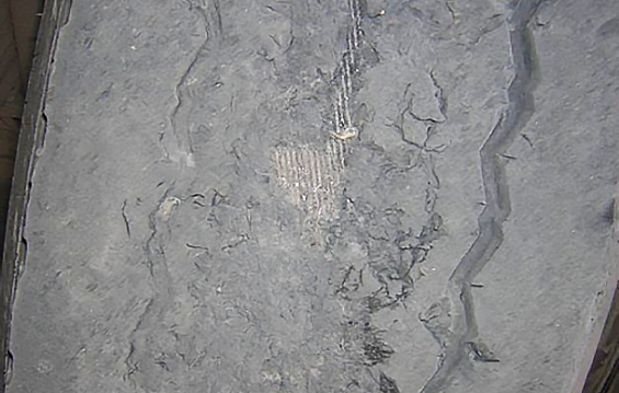 1660278760160681.png 2.png